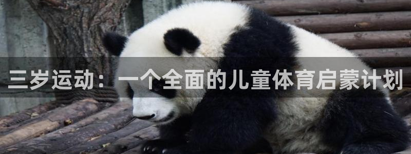 意昂体育5(KGAME)平台注册流程视频:三岁运动:一个全面