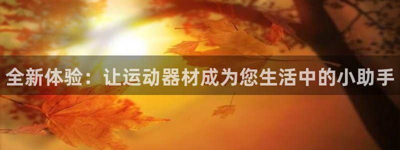 意昂体育5(KGAME):全新体验:让运动器材成为您生活中的