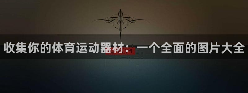 意昂5(KGAME)科技:收集你的体育运动器材:一个全面的图
