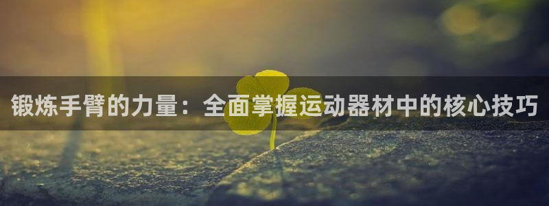 意昂体育5(KGAME)平台是正规平台吗知乎:锻炼手臂的力量