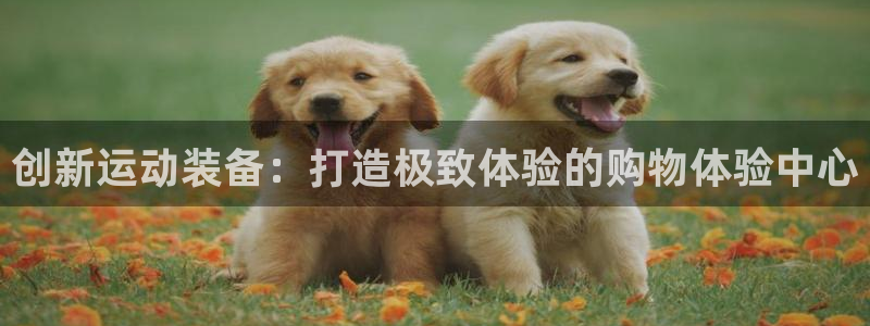 意昂5(KGAME)娱乐代理怎么样:创新运动装备:打造极致体