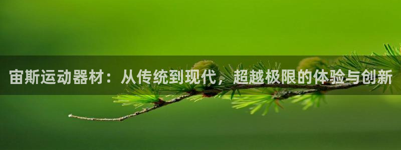 意昂5(KGAME)娱乐首页官网下载:宙斯运动器材:从传统到